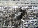 View Auto part Differential Assembly Mercedes C Class 2012