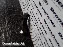 View Auto part LF Lower Control Arm Mercedes Sprinter 2011