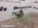 View Auto part Handbrake Lever/Button/Assembly Mercedes S Class 2001