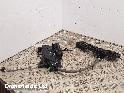 View Auto part Door Lock Assembly Mercedes Cla 2023