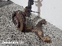 View Auto part RF Hub/Stub Axle Assembly Mercedes Vito 2008