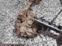 View Auto part RF Hub/Stub Axle Assembly Mercedes Vito 2008