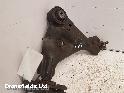 View Auto part LF Lower Control Arm Mercedes Vito 2016
